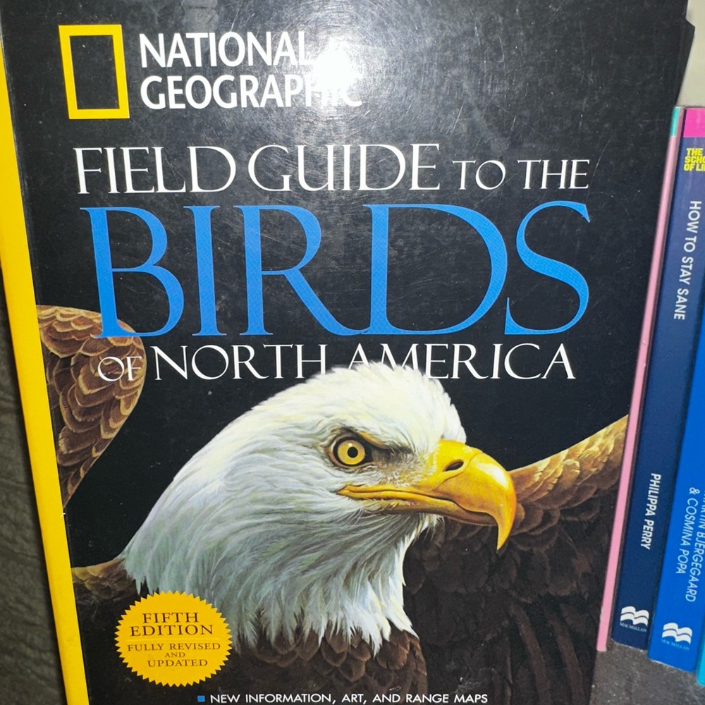 National Geographic Birds of North America Guide - Black and Yellow